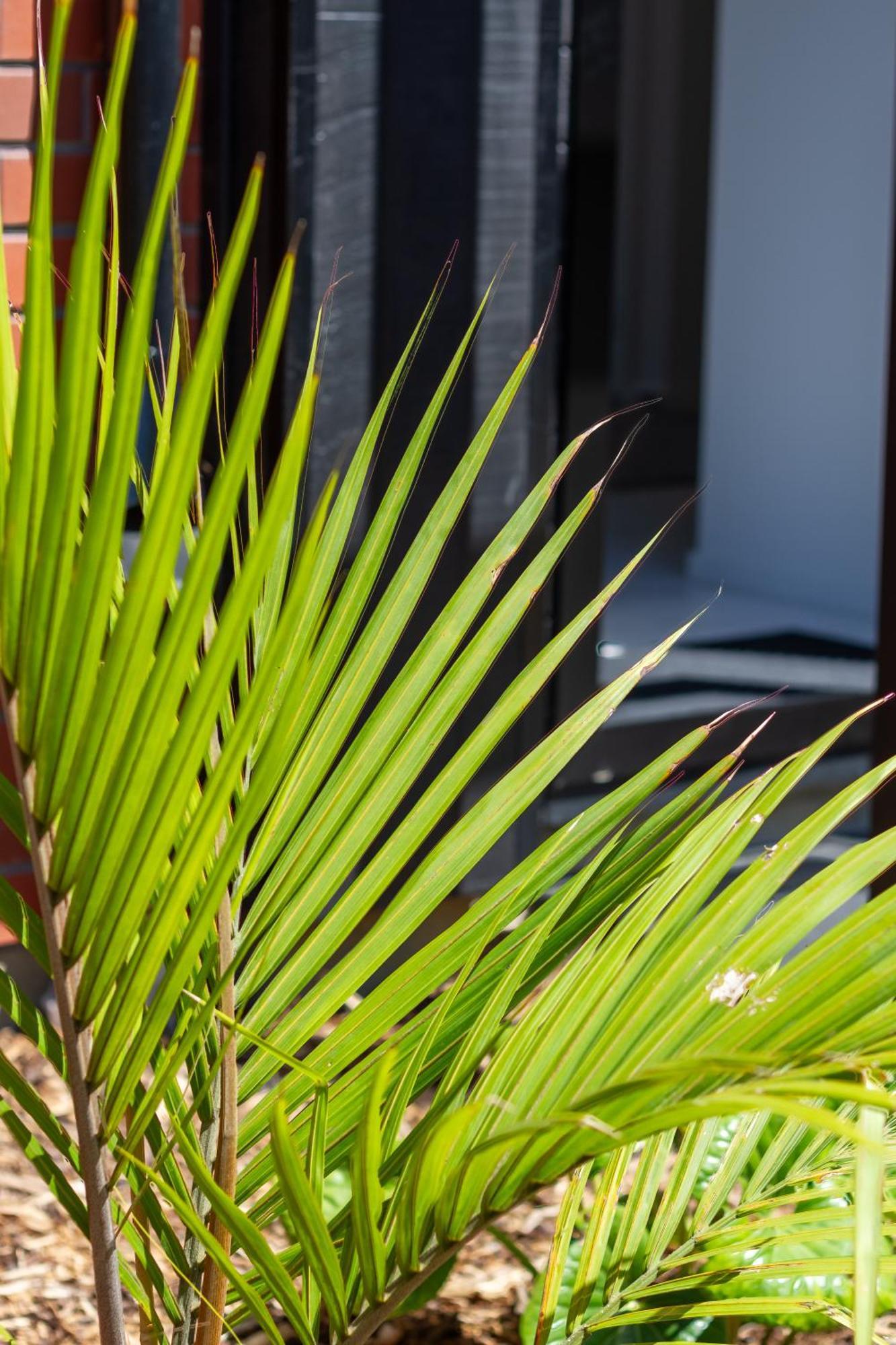 Ferienwohnung Chic 2-Bed Gem: Trust Arena Proximity - West Akl Auckland Exterior foto